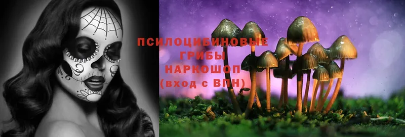 Псилоцибиновые грибы Magic Shrooms  Кремёнки 